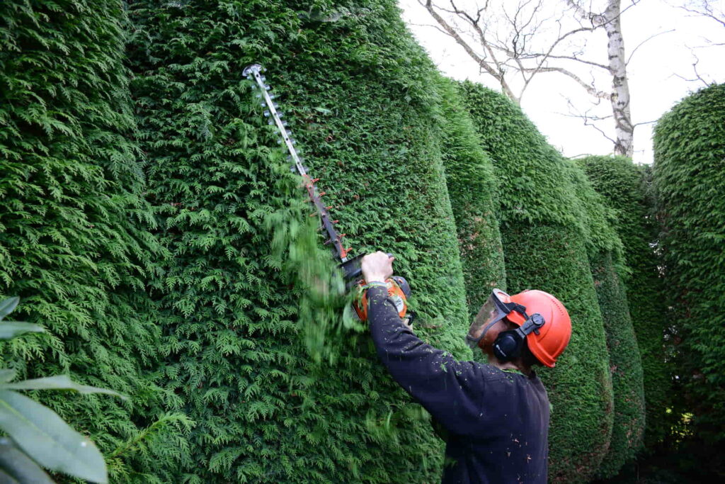 Hedge Maintenance