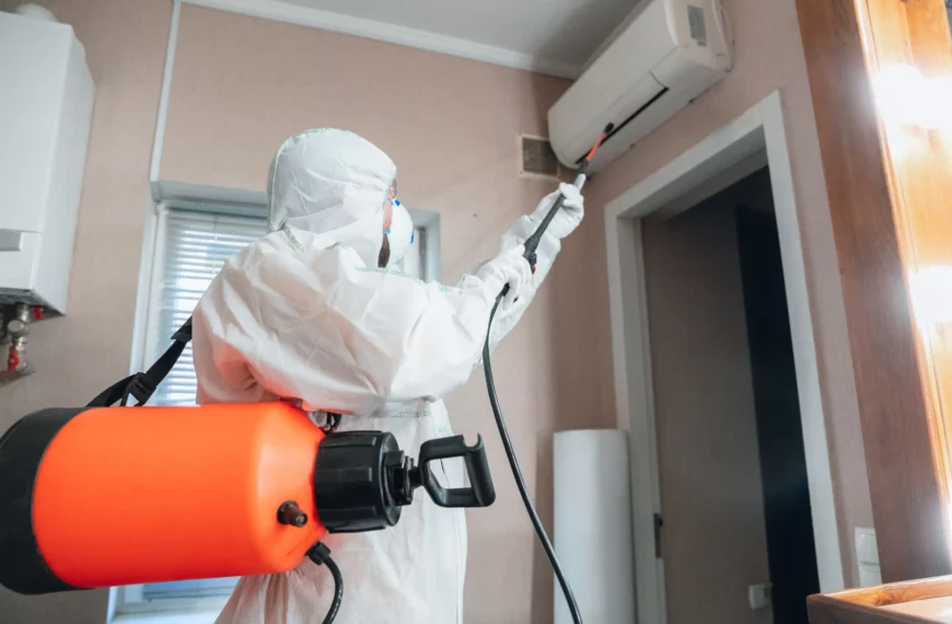 Why You Should Schedule a Pest Inspection in Sydney Regularly