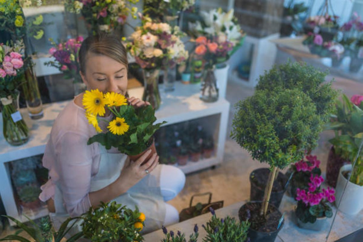 mosman flowers