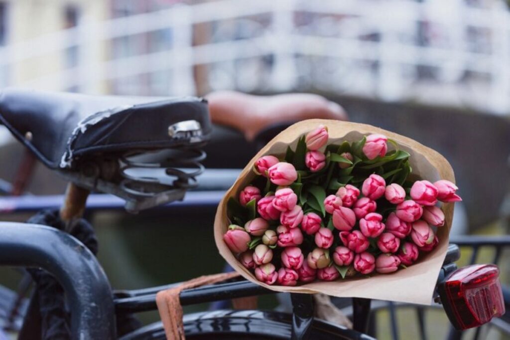 lane cove flowers