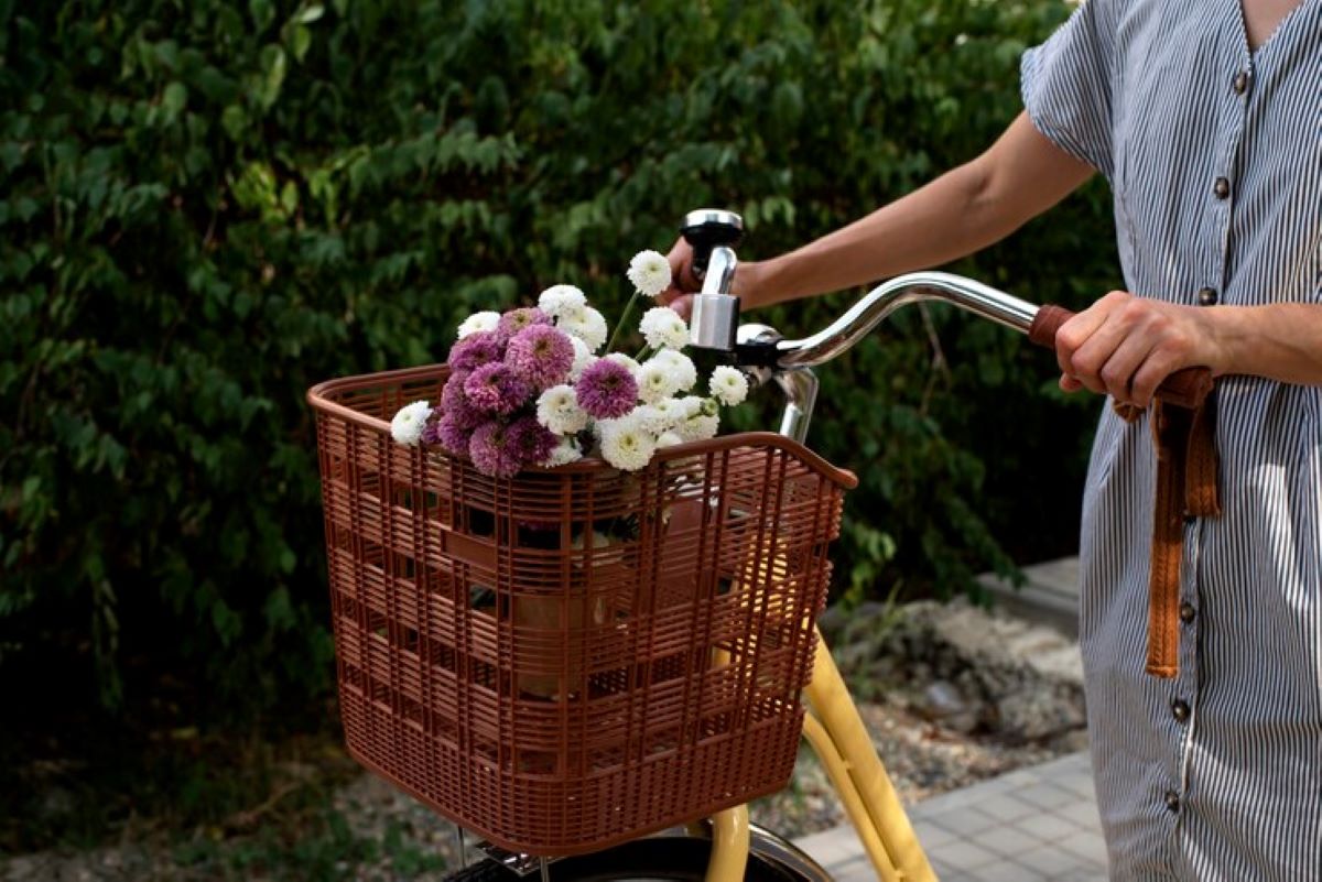 lane cove flowers